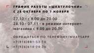 Работа в период с 28 октября по 7 ноября 2021