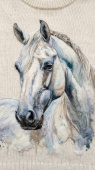 galareva мастербокс "лошадка" шерстяная акварель