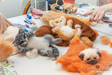 Клубная встреча 27 апреля. Фотоотчет.