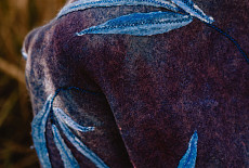 Step by step к цели!