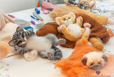 Клубная встреча 27 апреля. Фотоотчет.