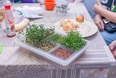 Клубная встреча 27 апреля. Фотоотчет.