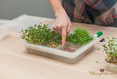 Клубная встреча 27 апреля. Фотоотчет.